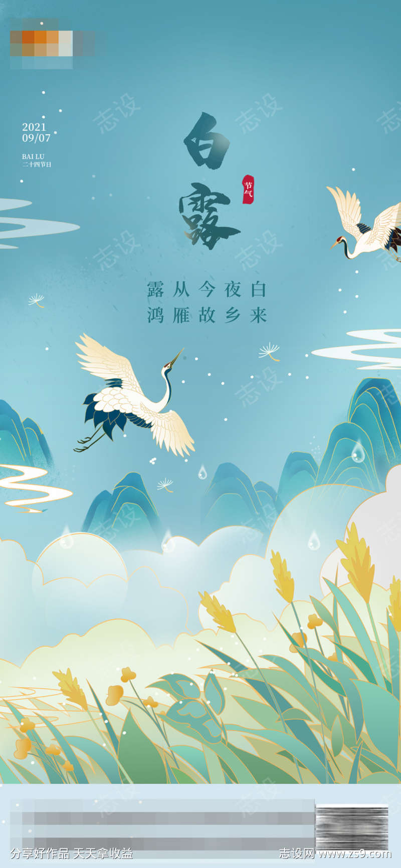 白露插画节气海报