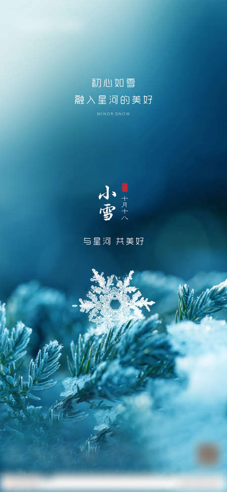 小雪节气单图_源文件下载_CDR格式_2159X4681像素-海报,房地产,雪花,冰晶,二十四节气,-作品编号:2021120115047627-志设-zs9.com