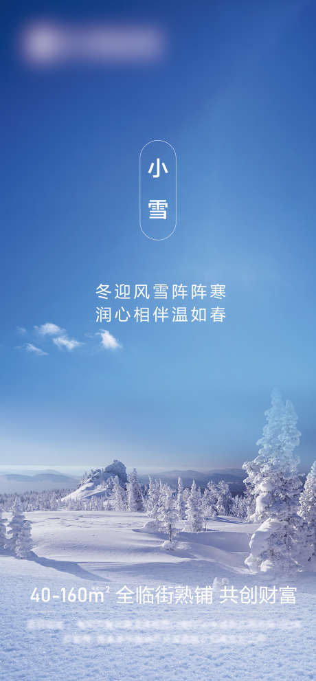 小雪_源文件下载_AI格式_1536X3308像素-海报,地产,小雪,二十四节气,雪地-作品编号:2021120914349538-志设-zs9.com