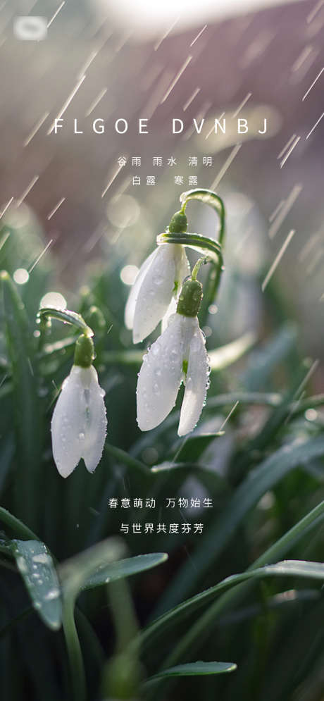 雨水谷雨系列海报_源文件下载_PSD格式_1830X3960像素-海报,二十四节气,雨水,谷雨,清明,简约,风景,系列-作品编号:2022020812086975-设计素材-www.shejisc.cn