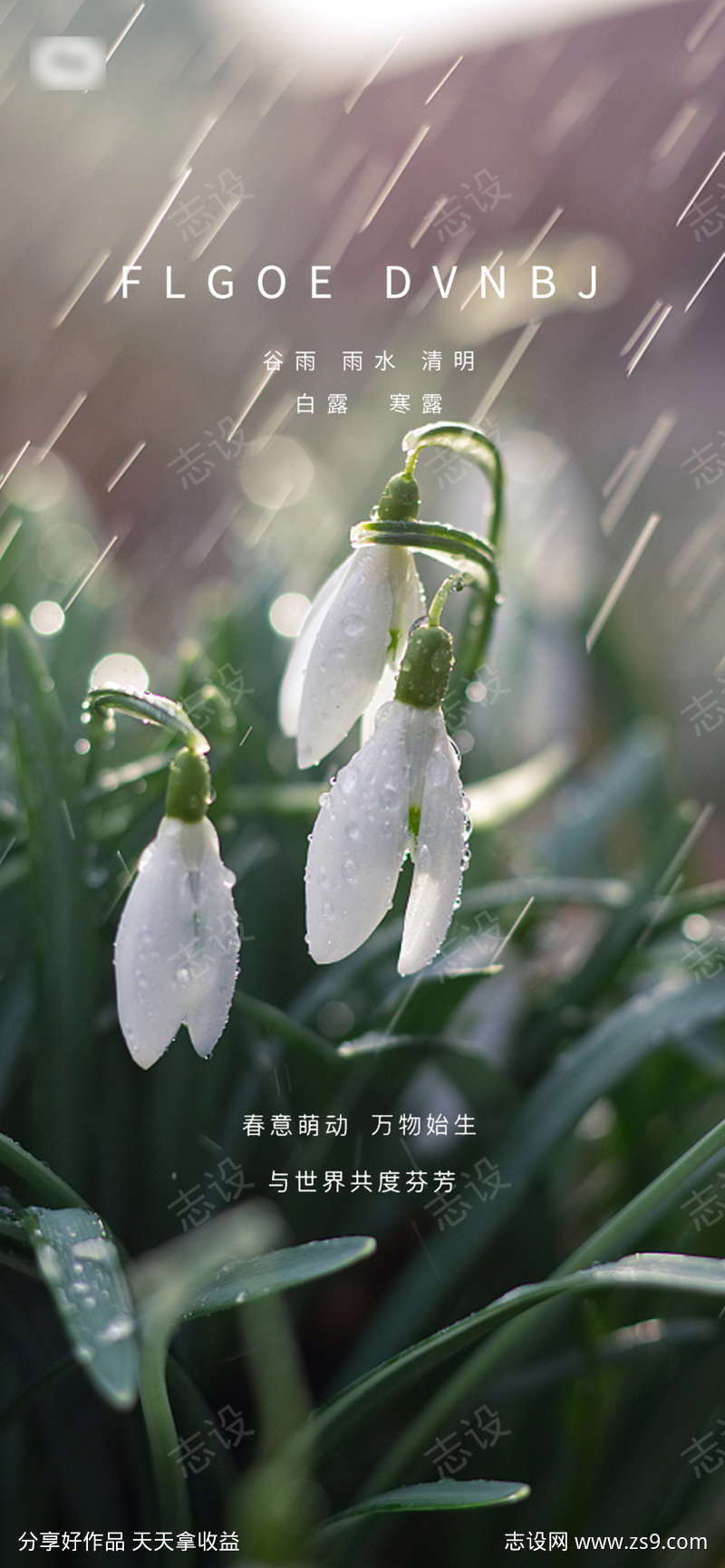 雨水谷雨系列海报