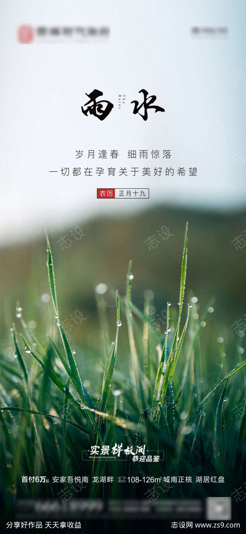 雨水二十四节气海报