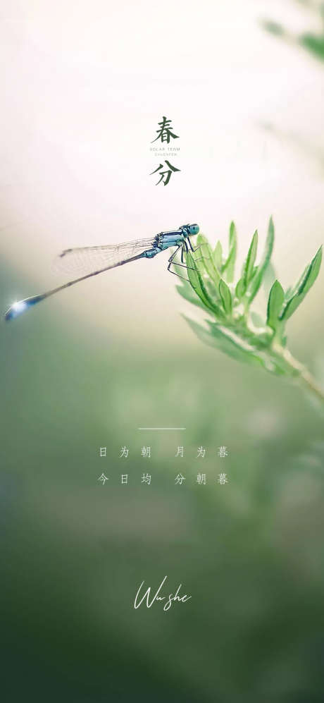 春分节气海报_源文件下载_PSD格式_1080X2340像素-海报,二十四节气,春分,简约,风景-作品编号:2022031014389004-设计素材-www.shejisc.cn