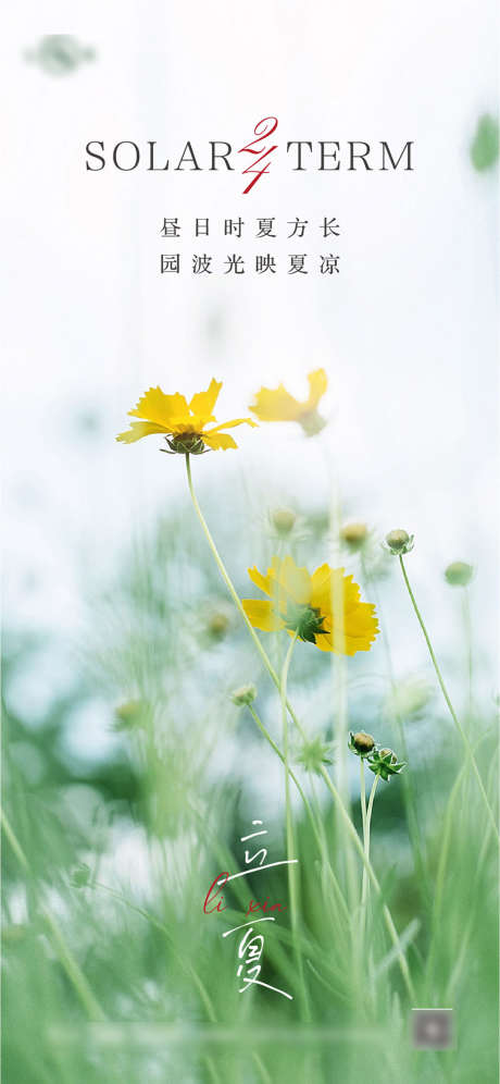 立夏二十四节气系列海报_源文件下载_AI格式_1244X2695像素-海报,二十四节气,立夏,阳光,鲜花,风景,意境,简约-作品编号:2022040912555718-设计素材-www.shejisc.cn