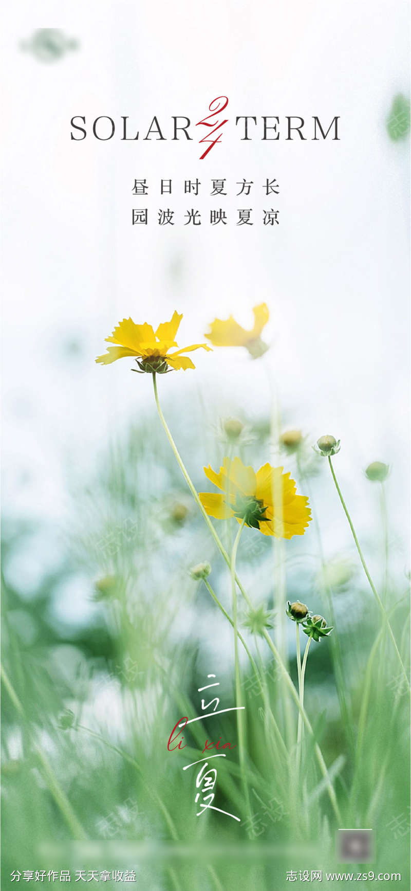 立夏二十四节气系列海报