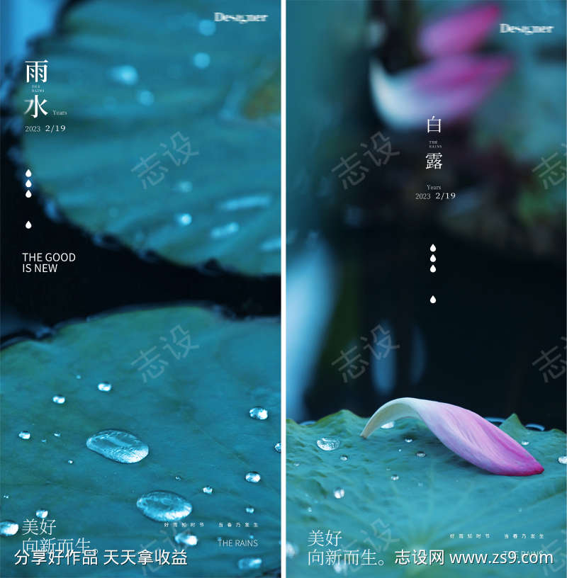 荷叶雨水谷雨白露水滴系列海报