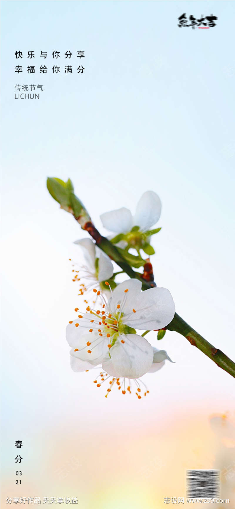 立夏开花春分24节气海报中国传统节日