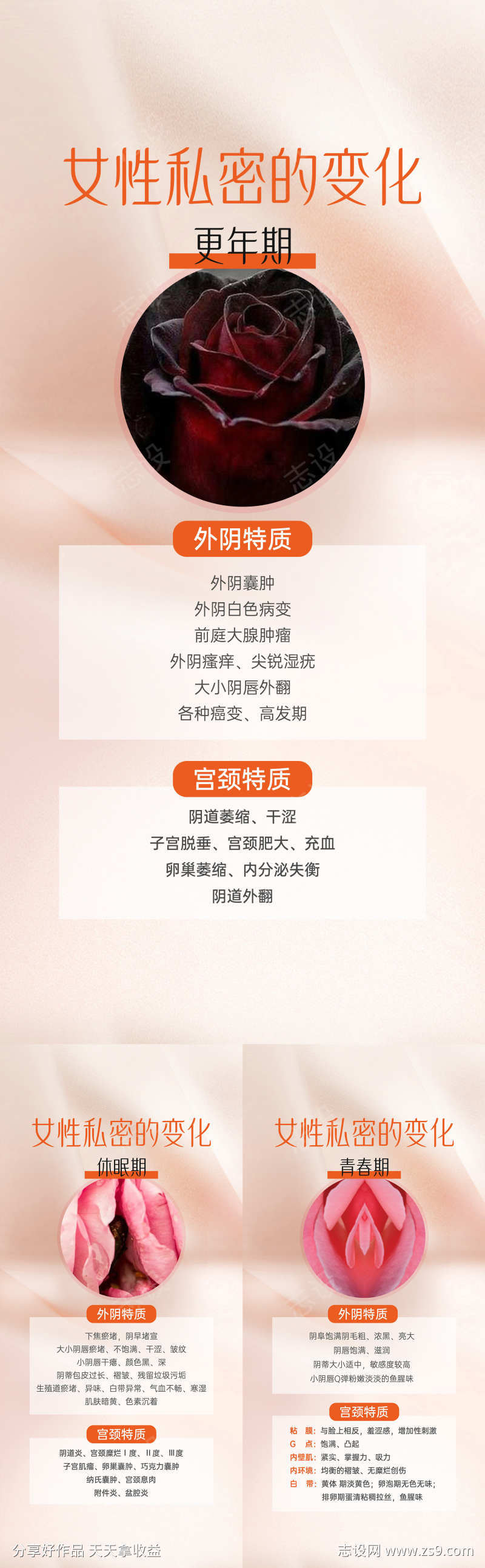 私密外阴科普系列