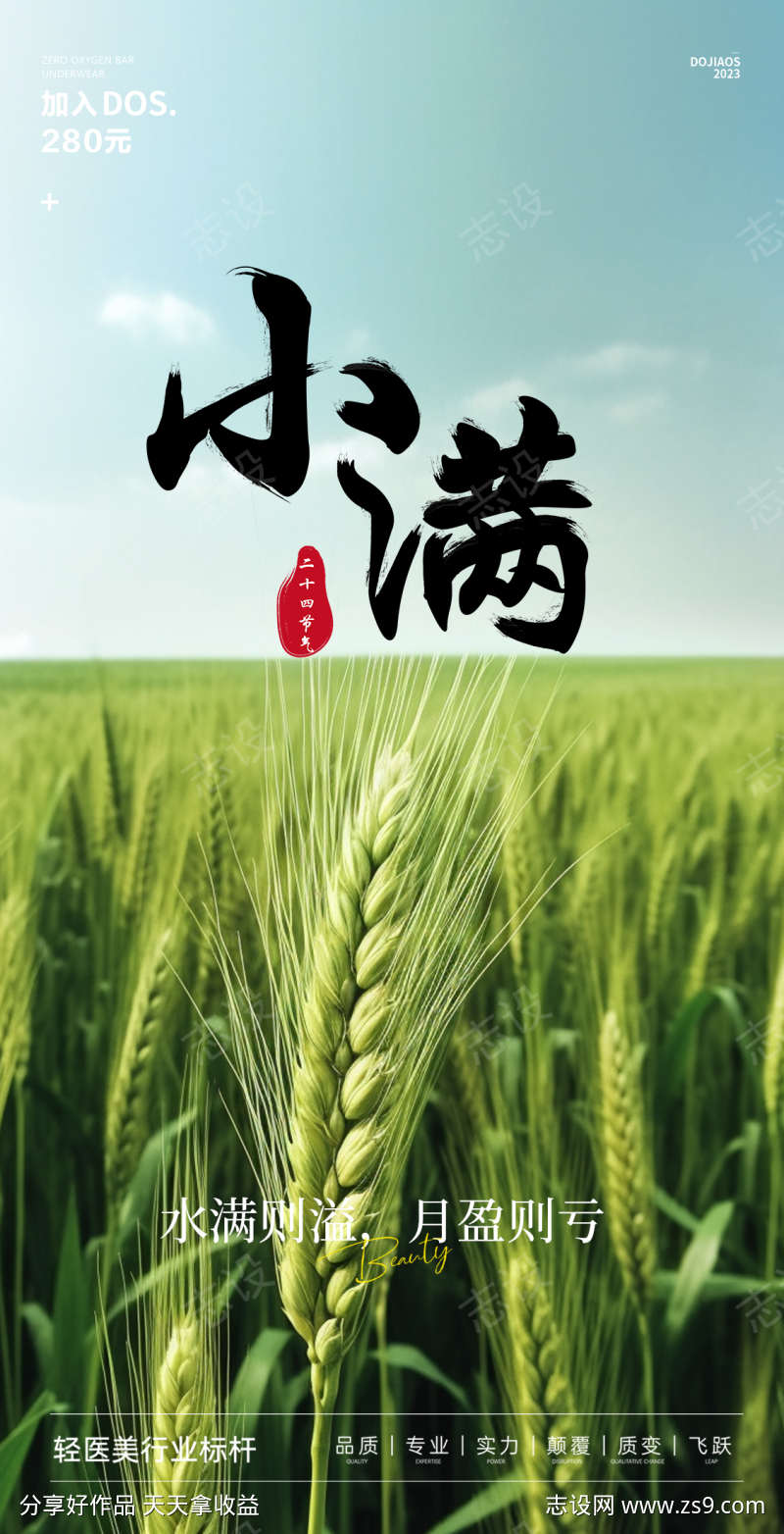 小满芒种二十四节气地产医美圈图海报