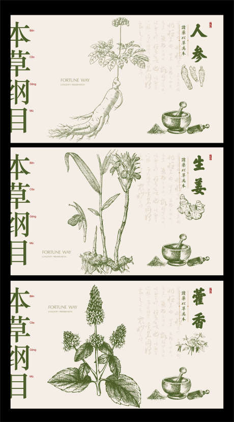 本草纲目中药展板2_源文件下载_AI格式_2857X5145像素-中药,藿香,生姜,人参,本草纲目,活动展板,背景板-作品编号:2023052509564608-设计素材-www.shejisc.cn