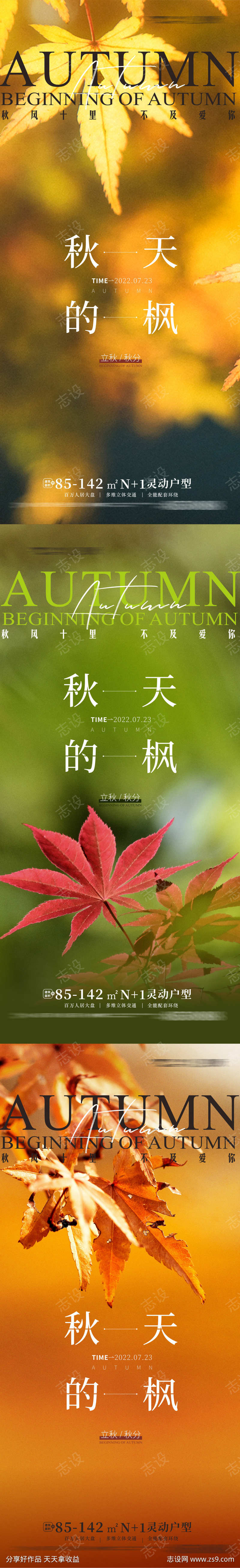 立秋 秋分 秋天 枫叶