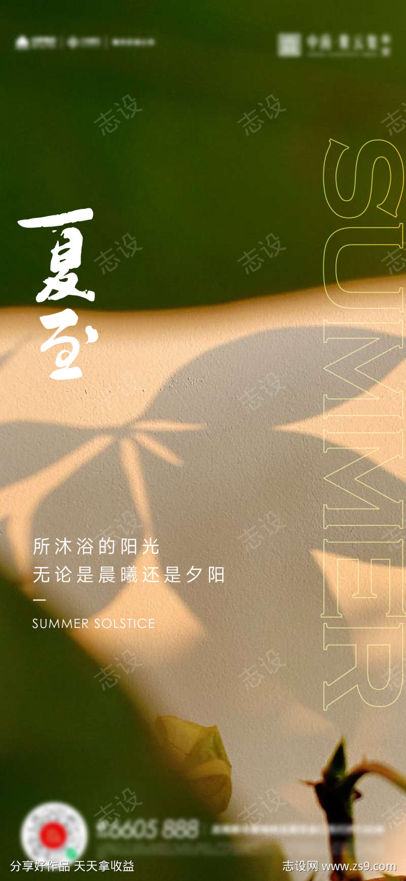 夏至立夏小暑大暑海报