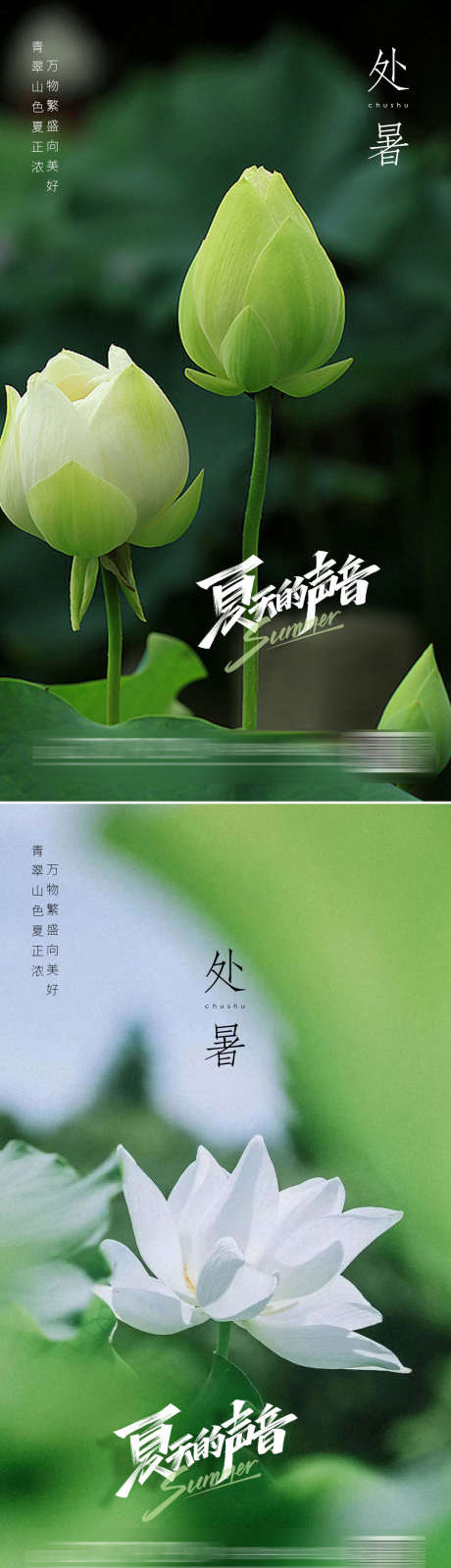 处暑节气海报_源文件下载_PSD格式_1080X3846像素-处暑,节气,海报,夏季,夏日,莲藕,莲花,莲叶,二十四节气,地产-作品编号:2023062111563275-设计素材-www.shejisc.cn