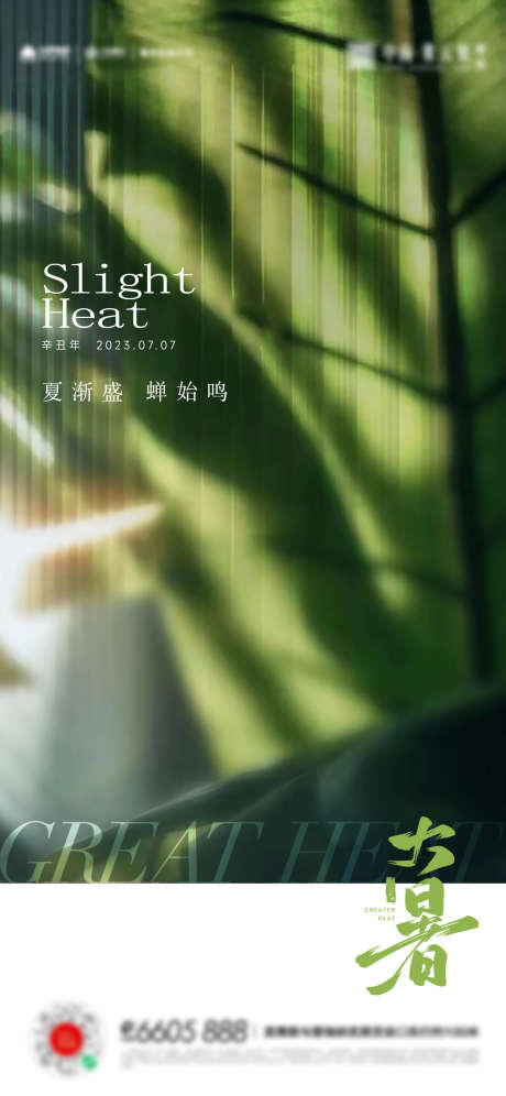 大暑小暑夏至立夏海报_源文件下载_AI格式_1307X2830像素-夏至,立夏,海报,大暑,小暑,叶子-作品编号:2023070200061362-设计素材-www.shejisc.cn