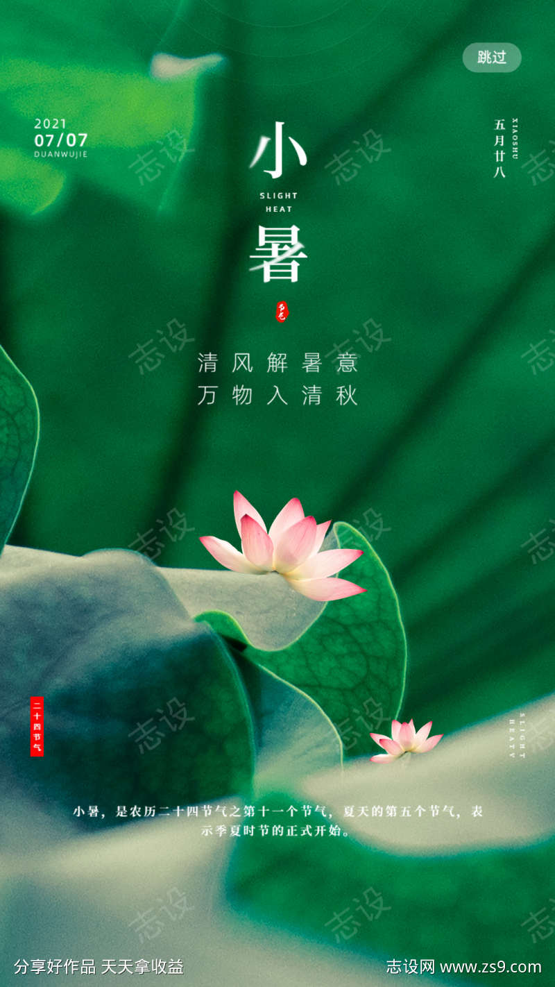 小暑莲花海报