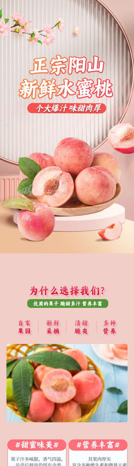 水蜜桃详情页_源文件下载_PSD格式_790X11561像素-产品,水果,电商,详情页,水蜜桃-作品编号:2023072810075019-设计素材-www.shejisc.cn