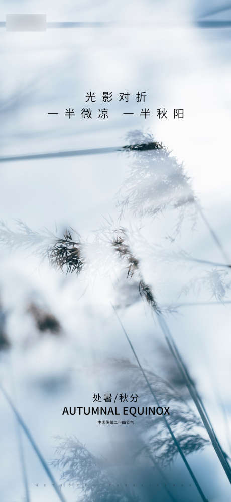 秋分_源文件下载_PSD格式_1080X2340像素-处暑,节气,秋风,对折,光影,竹叶,朦胧-作品编号:2023073013268765-志设-zs9.com