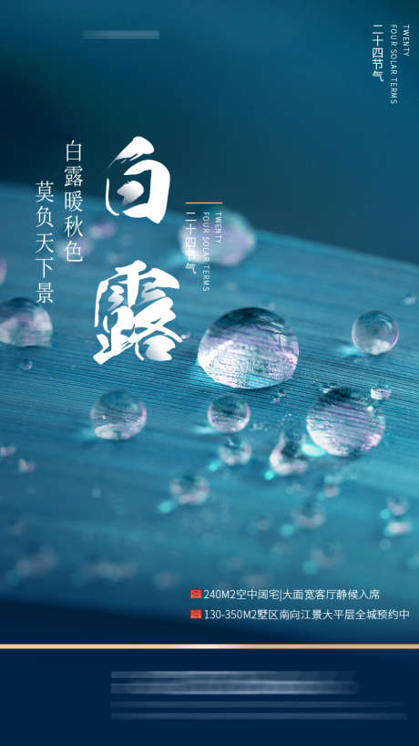 白露节气海报_源文件下载_PSD格式_750X1334像素-节气,水滴,露水,露珠,植物-作品编号:2023081413455008-设计素材-www.shejisc.cn