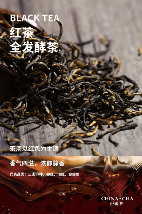 红茶海报室内装饰高清_源文件下载_PSD格式_5906X8858像素-茶叶,红茶,金骏眉,发酵茶,茶水,冲泡-作品编号:2023082321582019-志设-zs9.com