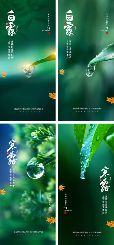 白露寒露节气海报_源文件下载_PSD格式_1080X2340像素-系列,意境,水滴,叶子,简约,枫叶,露珠,秋天,寒露,白露,二十四节气,房地产,海报-作品编号:2023082819155980-设计素材-www.shejisc.cn