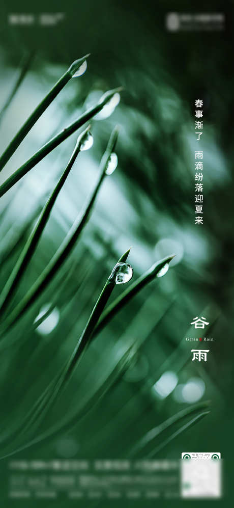 谷雨节气海报 绿色 水滴 风景  氛围 _源文件下载_1563X3386像素-高端,氛围,风景,水滴,绿色,谷雨,节气,海报-作品编号:2023091310439741-志设-zs9.com