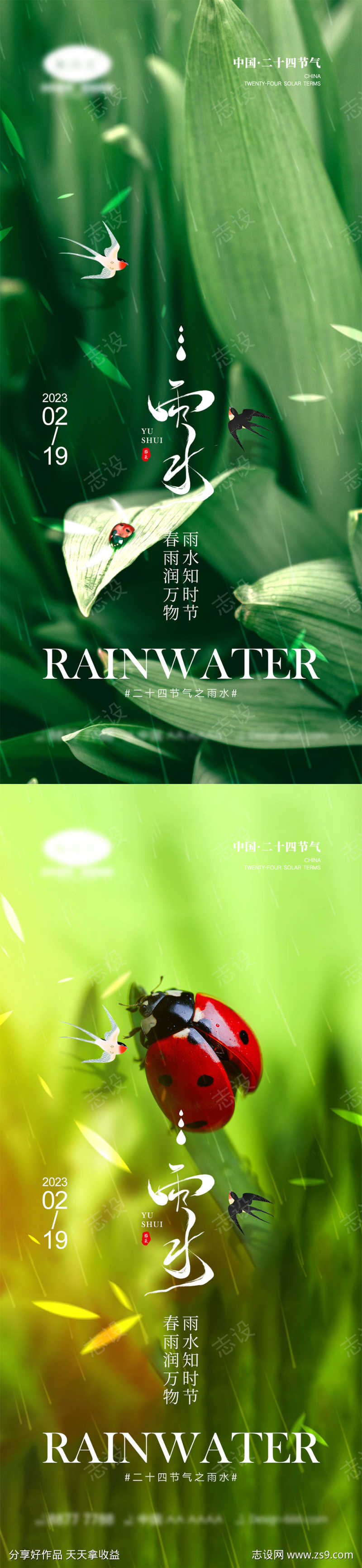 雨水节气海报