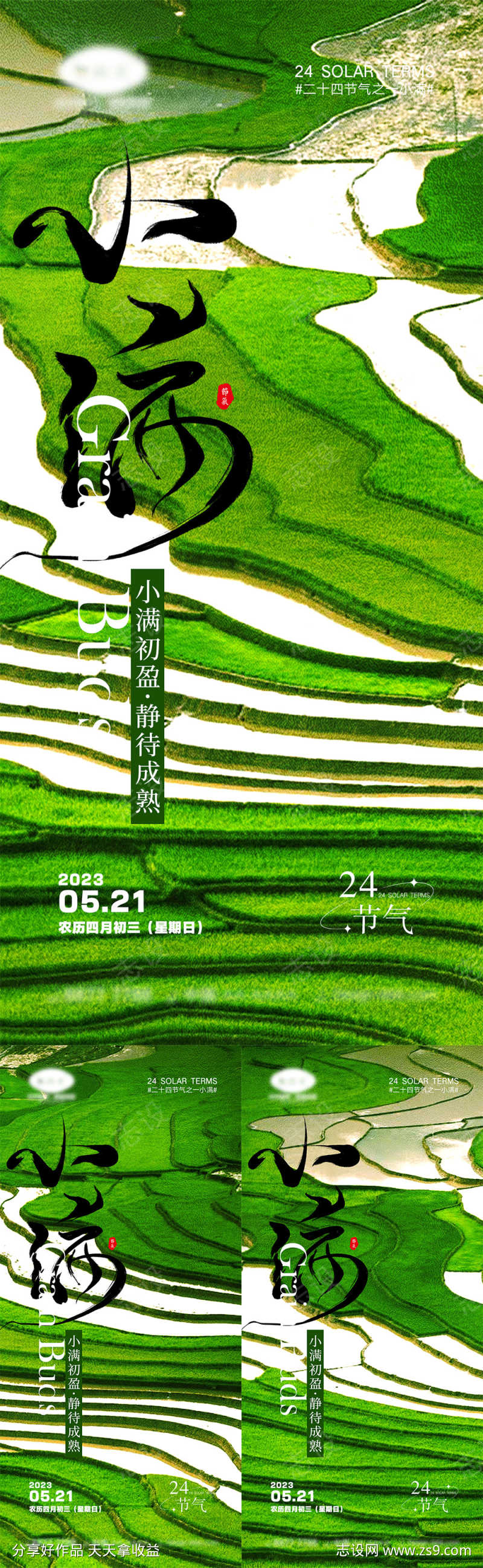 小满节气海报