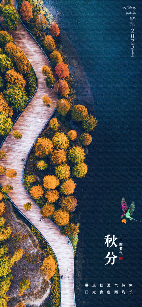 秋分节气海报_源文件下载_PSD格式_1080X2328像素-节气,风景,大气,简洁,鸟,枫叶,海报,秋分-作品编号:2023092310597627-设计素材-www.shejisc.cn