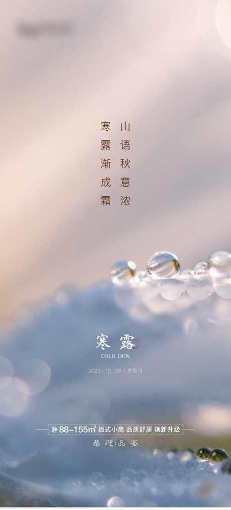 寒露节气海报_源文件下载_2362X5207像素-日常,系列,传统节气,海报,节气,节日,寒露,二十四节气-作品编号:2023092714444605-志设-zs9.com