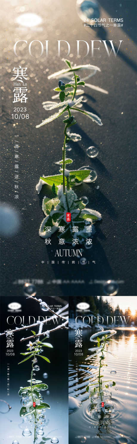 寒露节气海报_源文件下载_PSD格式_1000X3246像素-,雪花,仙鹤,蝉,落叶,房地产,昆虫,银杏,柿子,枫叶,下雪,冬天,,小雪,霜降,寒露,二十四节气-作品编号:2023100716423953-设计素材-www.shejisc.cn