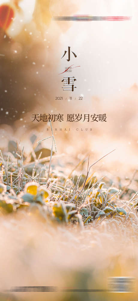 小雪节气海报_源文件下载_PSD格式_1080X2348像素-节气,小雪,小草,植物,二十四节气-作品编号:2023100813557040-设计素材-www.shejisc.cn