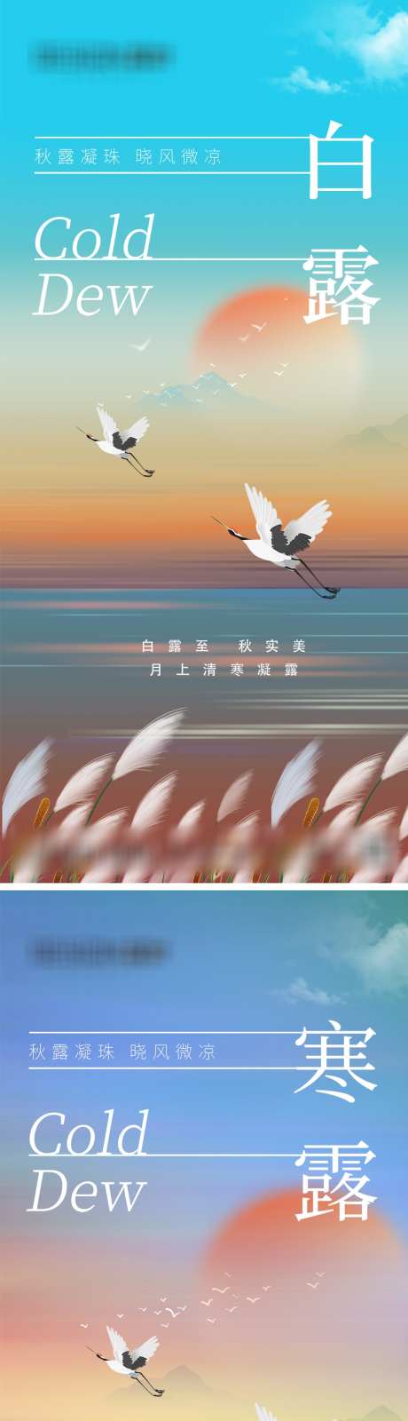 白露寒露节气海报_源文件下载_PSD格式_1080X2340像素-创意,系列,山水,飞鹤,芦苇,白鹭,寒露,白露,二十四节气,地产,-作品编号:2023100719212257-志设-zs9.com