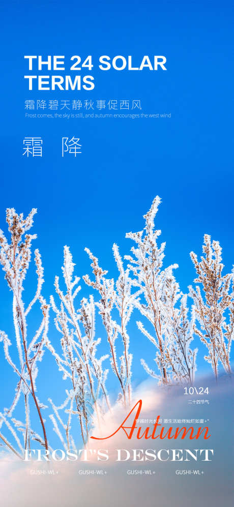 霜降节气海报_源文件下载_PSD格式_1080X2340像素-植物,,,霜花,,霜降,二十四节气,,节气-作品编号:2023100813512273-设计素材-www.shejisc.cn