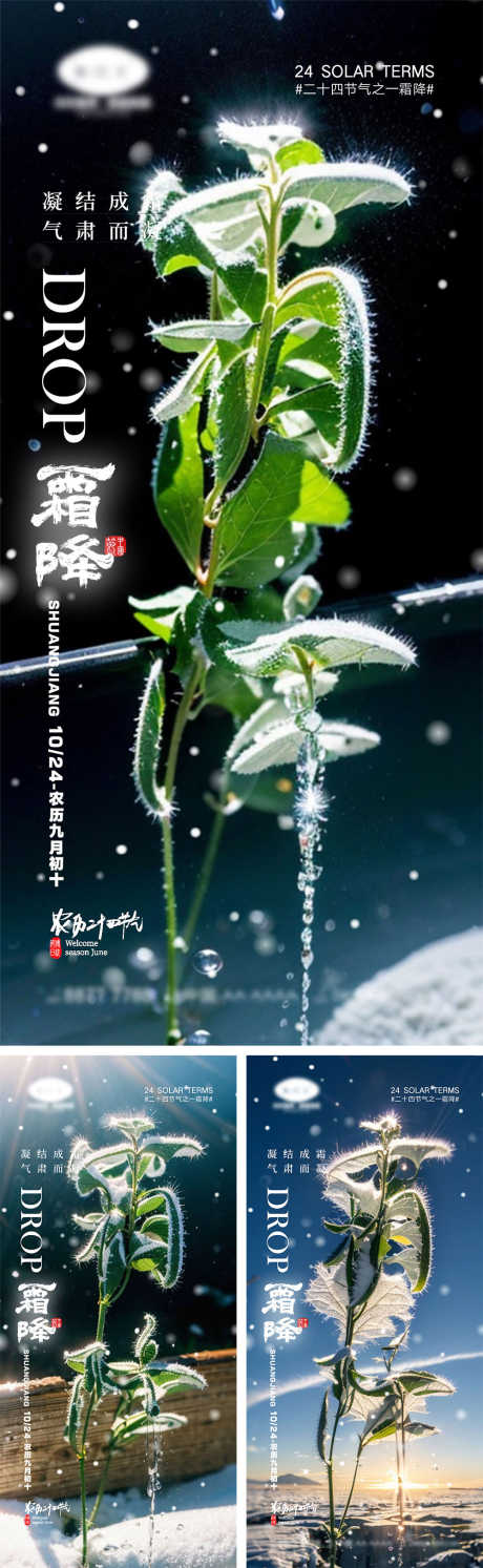 霜降节气海报_源文件下载_PSD格式_1000X3245像素-,雪花,仙鹤,蝉,落叶,房地产,昆虫,银杏,柿子,枫叶,下雪,,,,霜降,,二十四节气,海报-作品编号:2023100911208313-设计素材-www.shejisc.cn