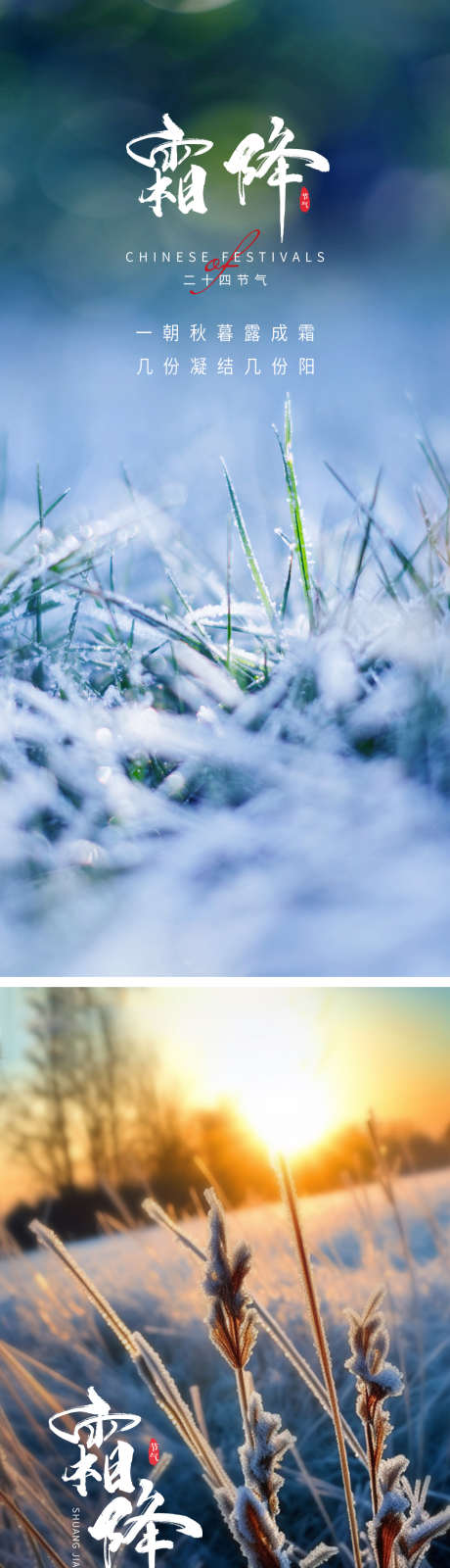 霜降节气海报_源文件下载_PSD格式_1080X2340像素-美景,冬季,二十四节气,节气,,,霜降-作品编号:2023101217056793-设计素材-www.shejisc.cn