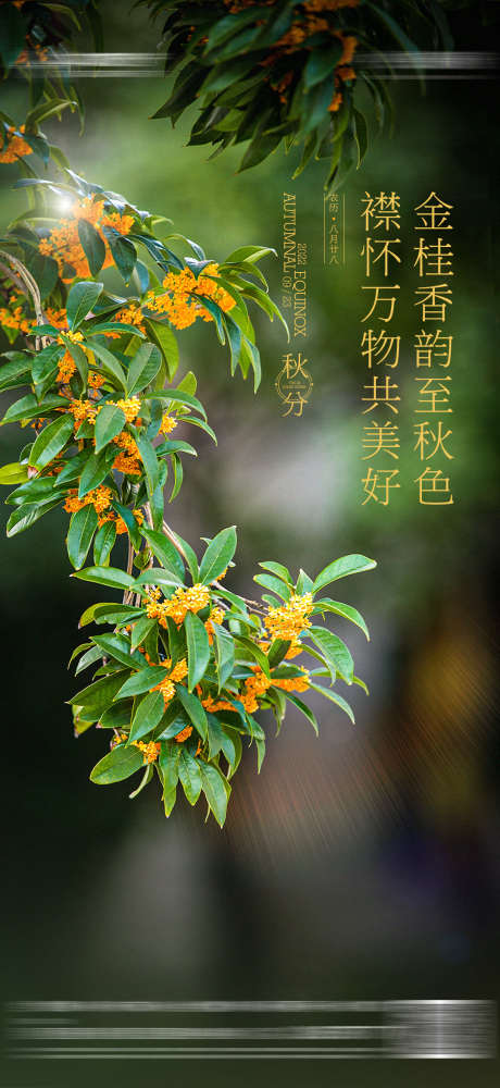 地产立秋秋分桂花海报_源文件下载_PSD格式_1080X2348像素-海报,桂花,秋分,地产,花朵,节气-作品编号:2023102516011973-设计素材-www.shejisc.cn