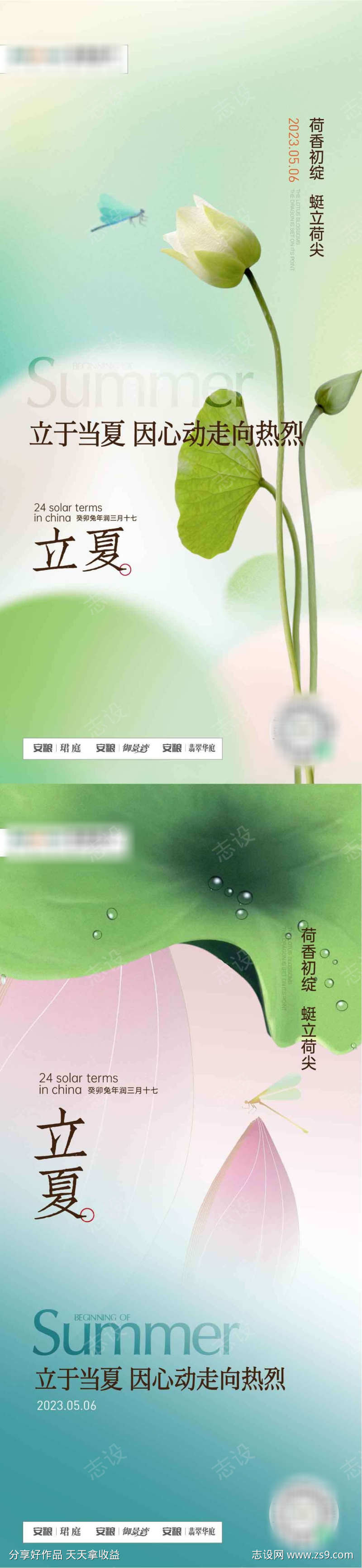 立夏荷花节气