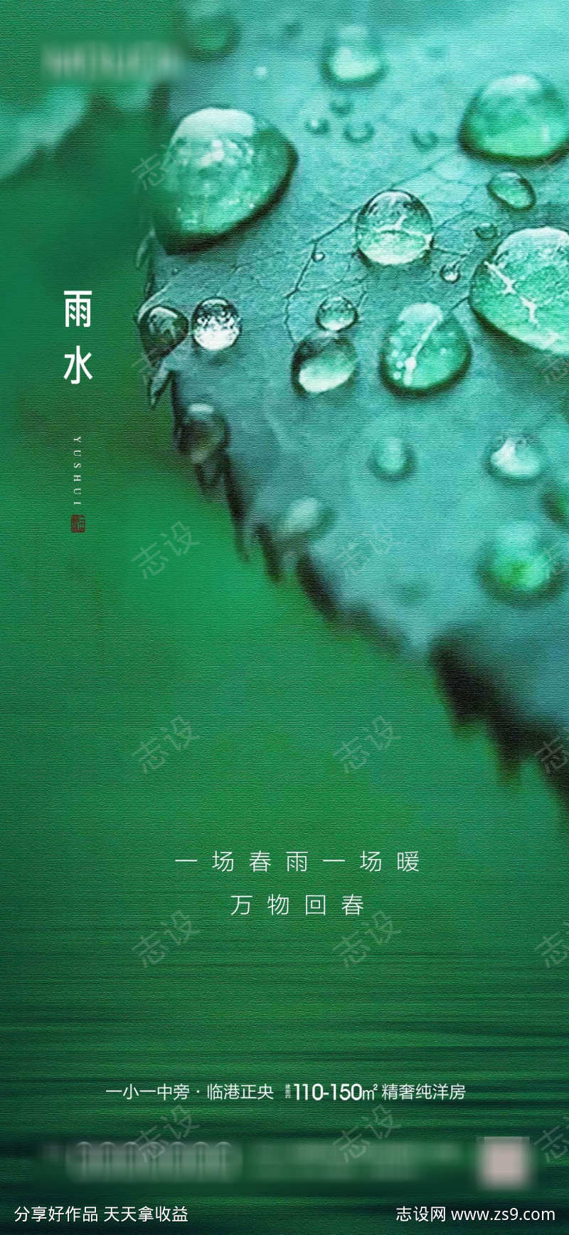 雨水节气海报