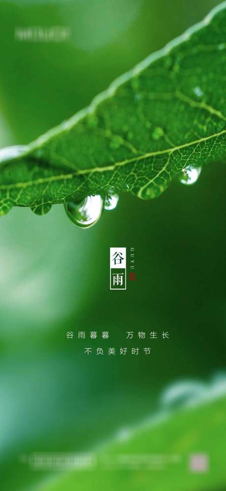 谷雨节气海报_源文件下载_PSD格式_1417X3071像素-,,二十四节气,,,地产,,节气,谷雨,海报-作品编号:2023103011151579-设计素材-www.shejisc.cn