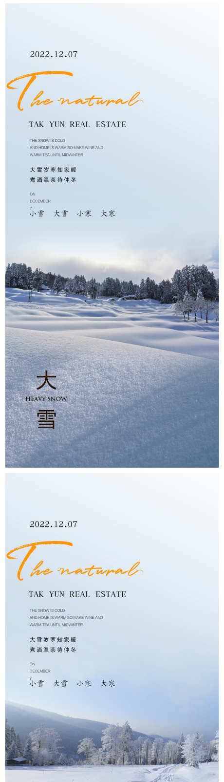 大雪节气海报_源文件下载_PSD格式_1179X4933像素-冰花,寒冷,雪花,雪地,枯树,高山,地产,节气,概念,冬天,冬季,雪景,大雪-作品编号:2023112510427430-设计素材-www.shejisc.cn