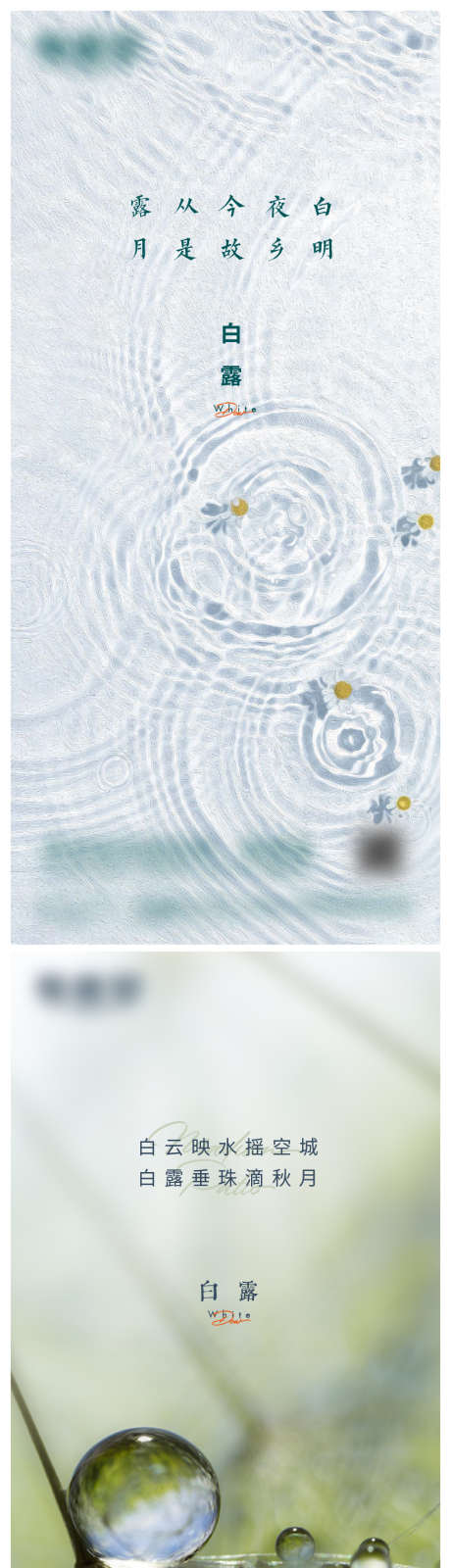 白露微信海报_源文件下载_AI格式_875X3694像素-水波,露珠,白露,地产,水滴,节气-作品编号:2023121509526456-志设-zs9.com