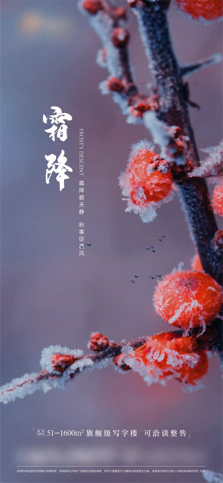 霜降微信海报_源文件下载_2345X5076像素-节气,霜降,冬天,冬季,梅花,地产-作品编号:2023121914251894-志设-zs9.com