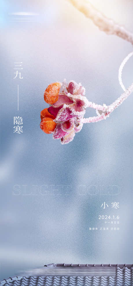 小寒意境海报_源文件下载_AI格式_1334X2856像素-肌理,雪花,树挂,雪景,冬天,,小寒,二十四节气,房地产,海报-作品编号:2023122619151811-设计素材-www.shejisc.cn