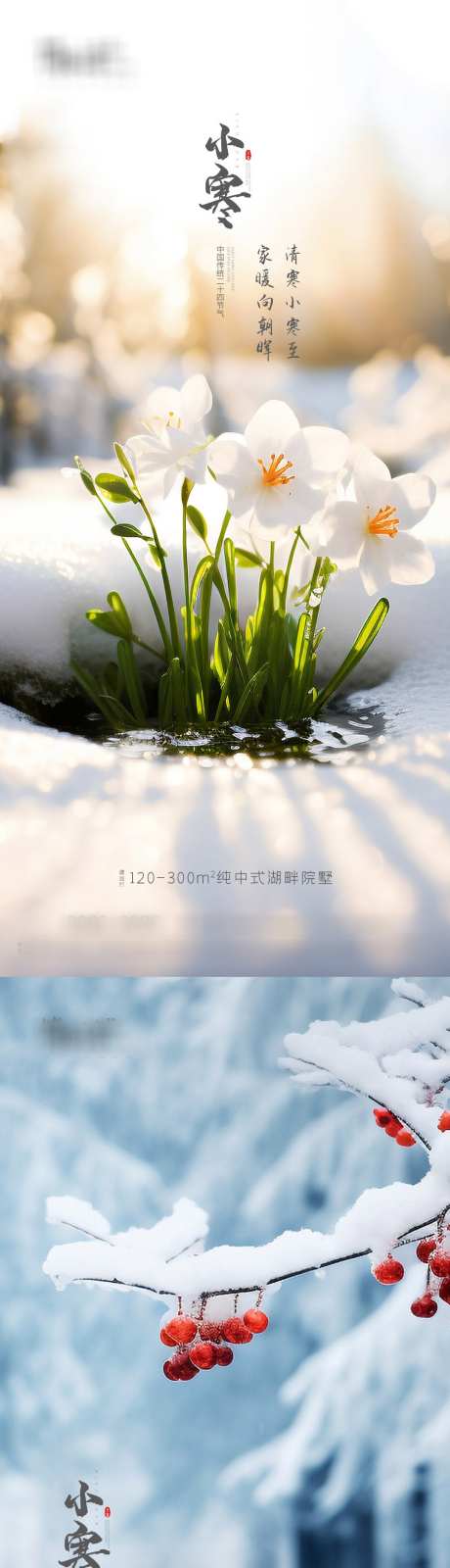 地产小寒大寒海报_源文件下载_PSD格式_1080X4678像素-冬天,,,雪景,小寒,,,地产,,,,二十四节气,,,节气-作品编号:2023122514205230-设计素材-www.shejisc.cn