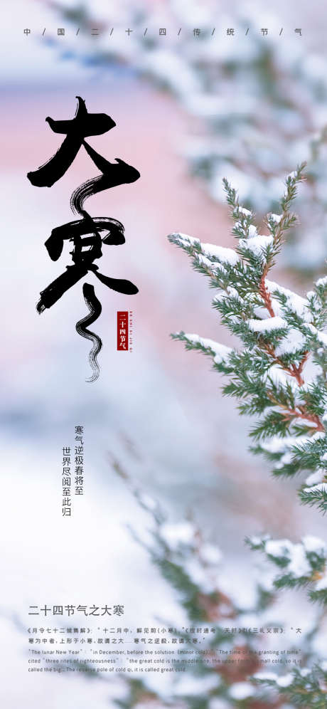 二十四节气大寒节气_源文件下载_PSD格式_1242X2688像素-雪花,冬天,系列,节气,大寒,海报,地产-作品编号:2024010217131023-志设-zs9.com