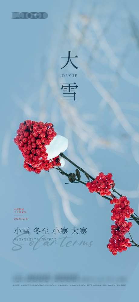 冬至节气立冬大雪小雪大寒小寒_源文件下载_PSD格式_1080X2340像素-节气,大雪,花朵,雪景,冬季-作品编号:2024011815293091-志设-zs9.com