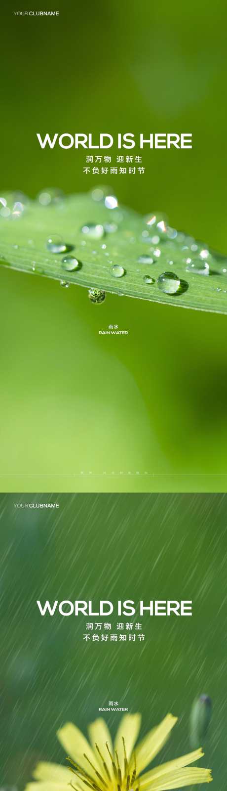 雨水节气海报_源文件下载_23格式_2000X4333像素-房地产,节气,立春-作品编号:2024020318133716-志设-zs9.com