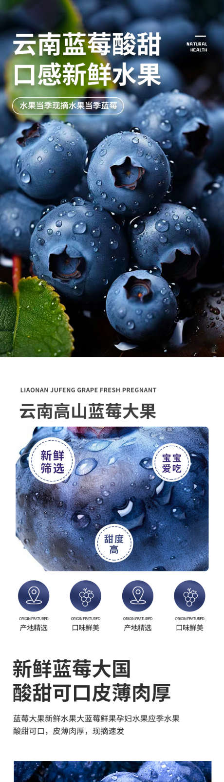 生鲜水果蔬菜蓝莓详情页_源文件下载_PSD格式_790X11084像素-水果干,生鲜,详情页,产地,水果,新鲜,国产,超大果,蓝莓,云南,当季-作品编号:2024021914065680-志设-zs9.com