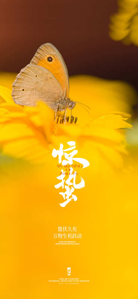 惊蛰节气海报_源文件下载_PSD格式_1500X3250像素-蝴蝶,树叶,,,惊蛰,二十四节气,房地产,海报-作品编号:2024021917412797-志设-zs9.com