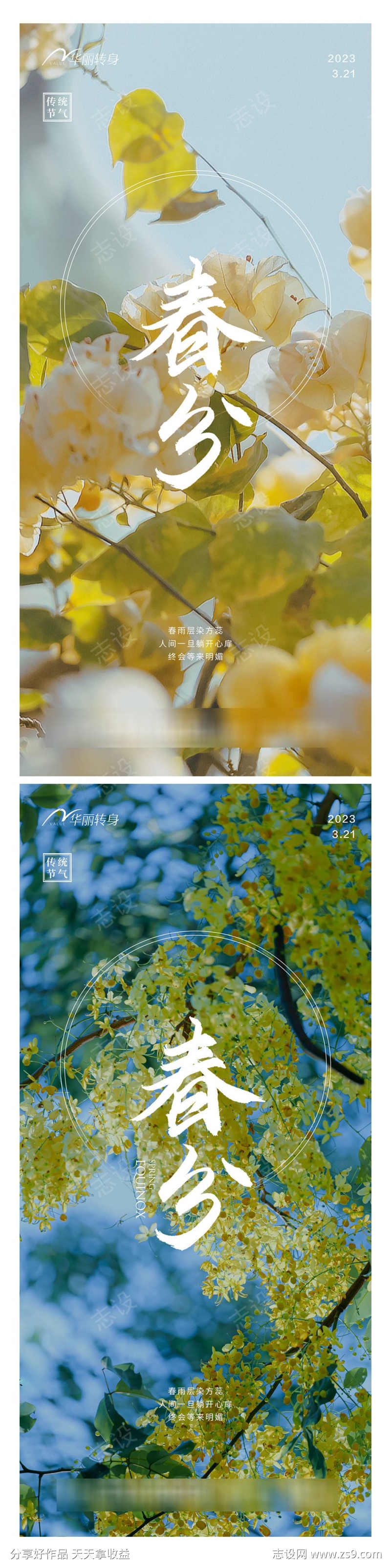 春分节气海报